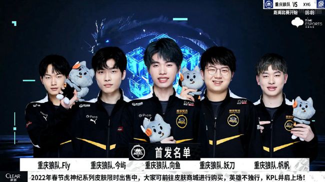 稳定的投射
