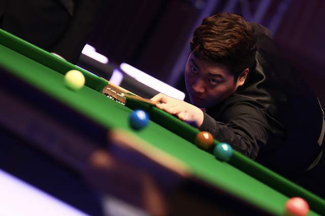 树如伊涅斯 树如伊涅斯