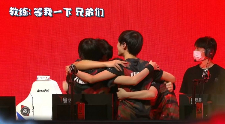 动爱好者的 动爱好者的