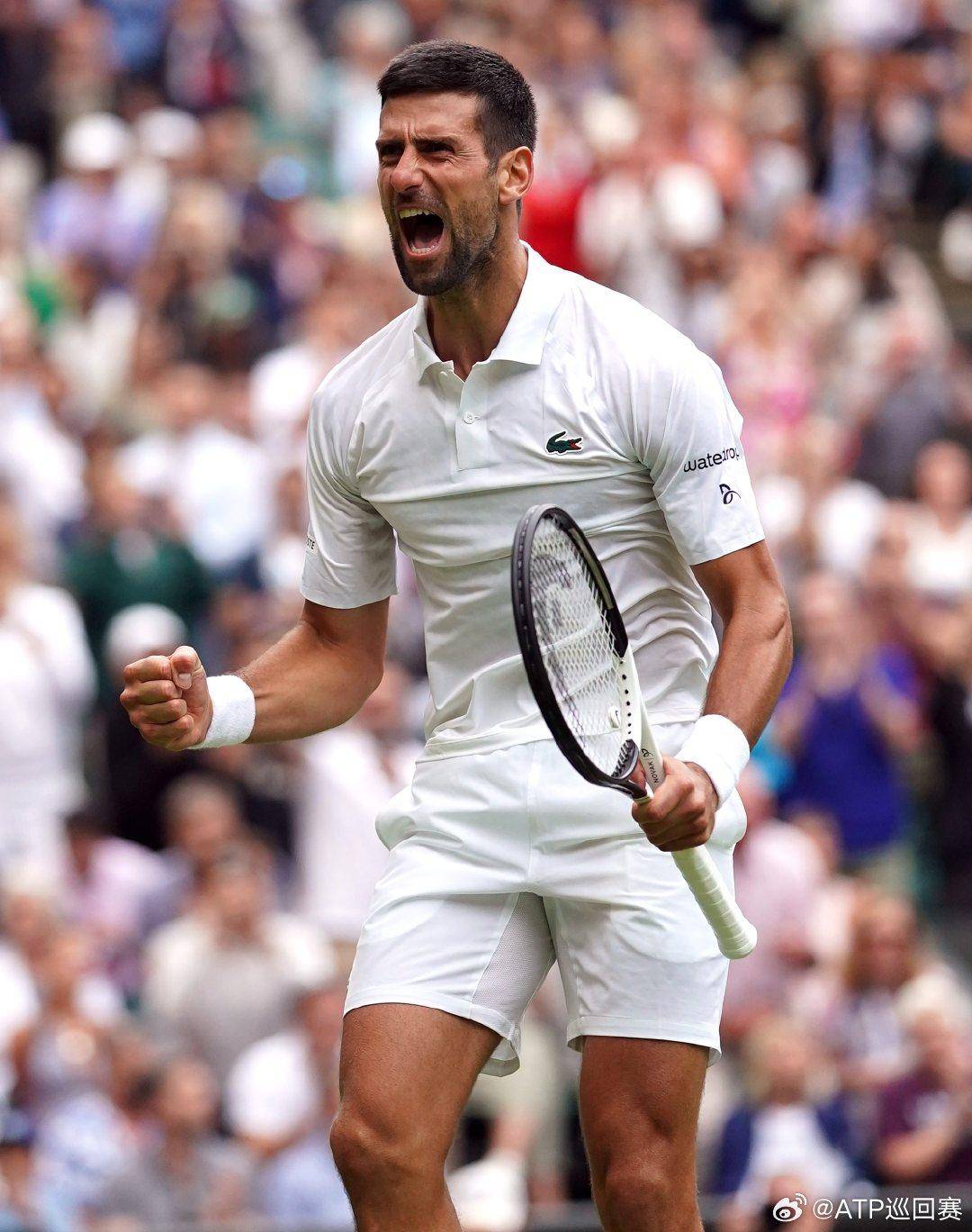 他们在转会 他们在转会